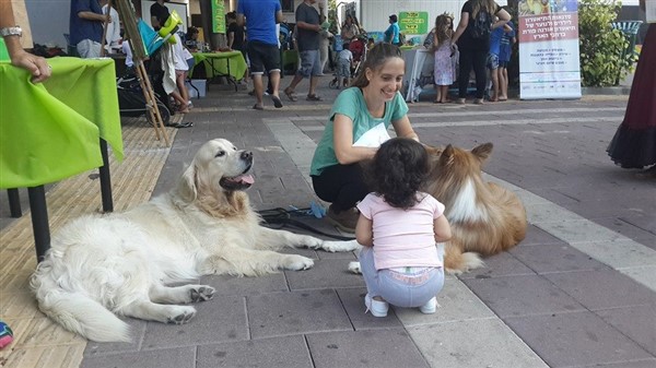 קרנבל חוגים 2017