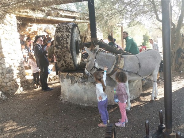 קייטנת טבע הסביבה ומורשת הארץ חנוכה 2017