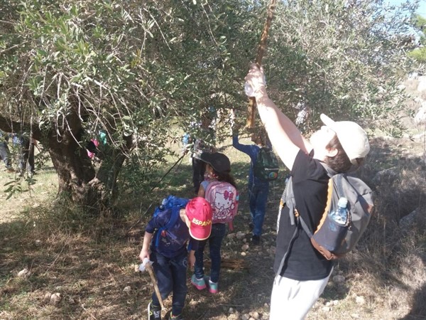 קייטנת טבע הסביבה ומורשת הארץ חנוכה 2017