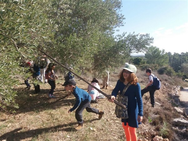 קייטנת טבע הסביבה ומורשת הארץ חנוכה 2017