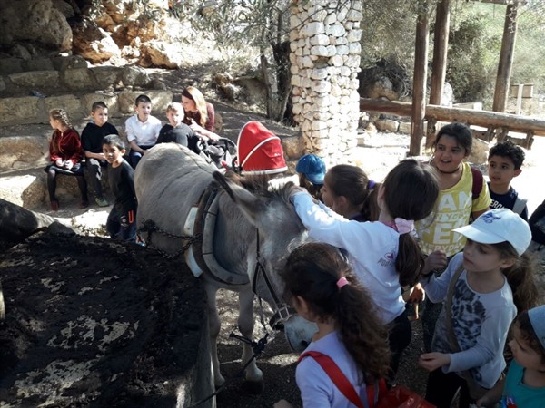 קייטנת טבע הסביבה ומורשת הארץ חנוכה 2017