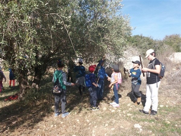 קייטנת טבע הסביבה ומורשת הארץ חנוכה 2017