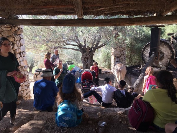 קייטנת טבע הסביבה ומורשת הארץ חנוכה 2017