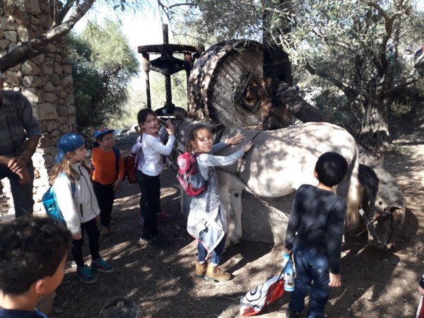 קייטנת טבע הסביבה ומורשת הארץ חנוכה 2017