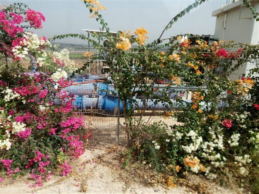 קהילה מטיילת 2018