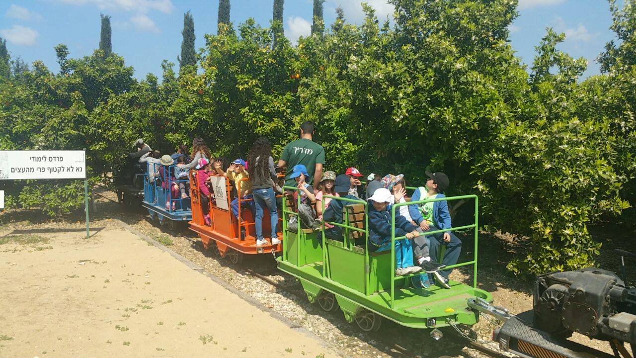  קייטנת פסח 2017